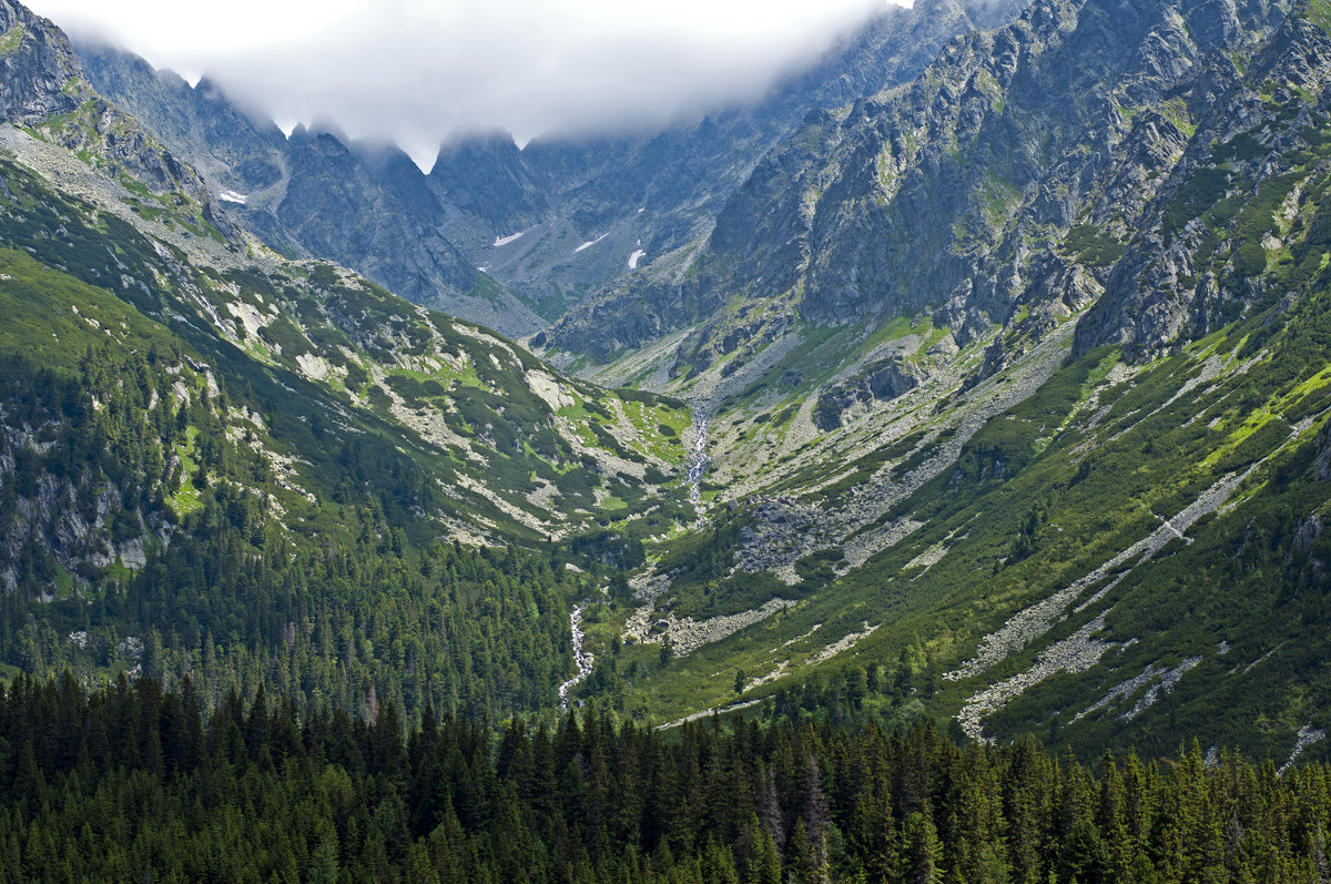 The Path in Mountains - Roman Ilnytskyi