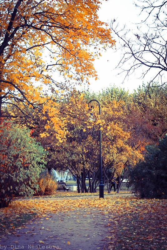 осень - Дина Нестерова