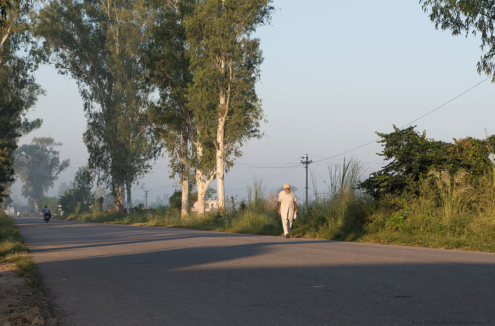 Утро - Борис Приходько