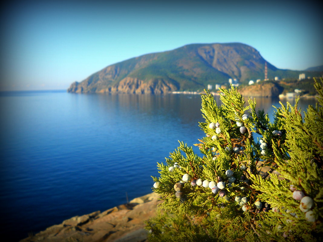 Гора Аю Даг Алушта