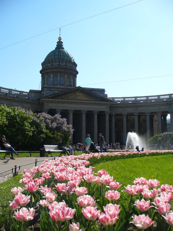 Весенний санкт петербург картинки