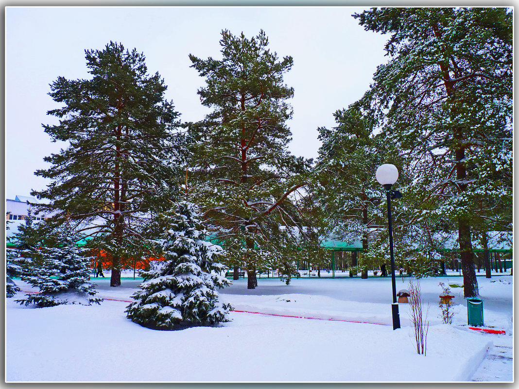 Зима в парке. - Александр Лейкум
