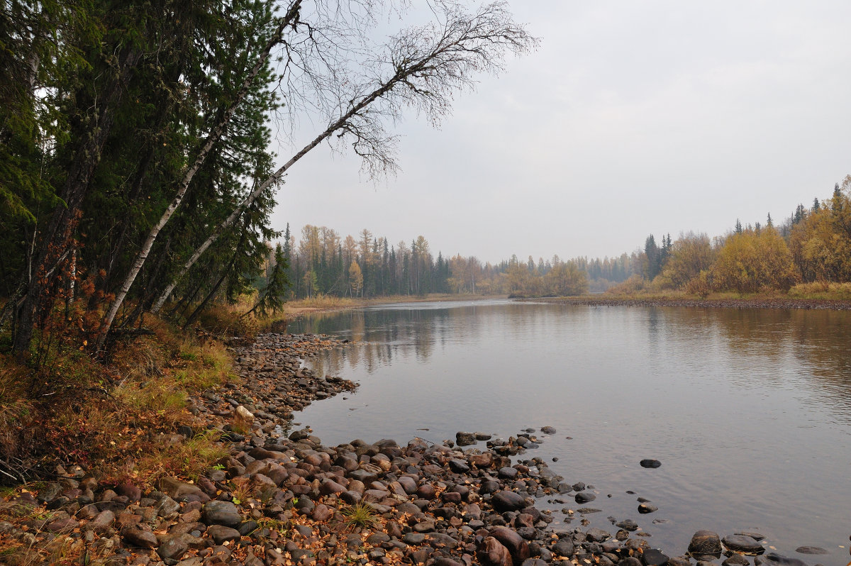 *** - Александр Хаецкий