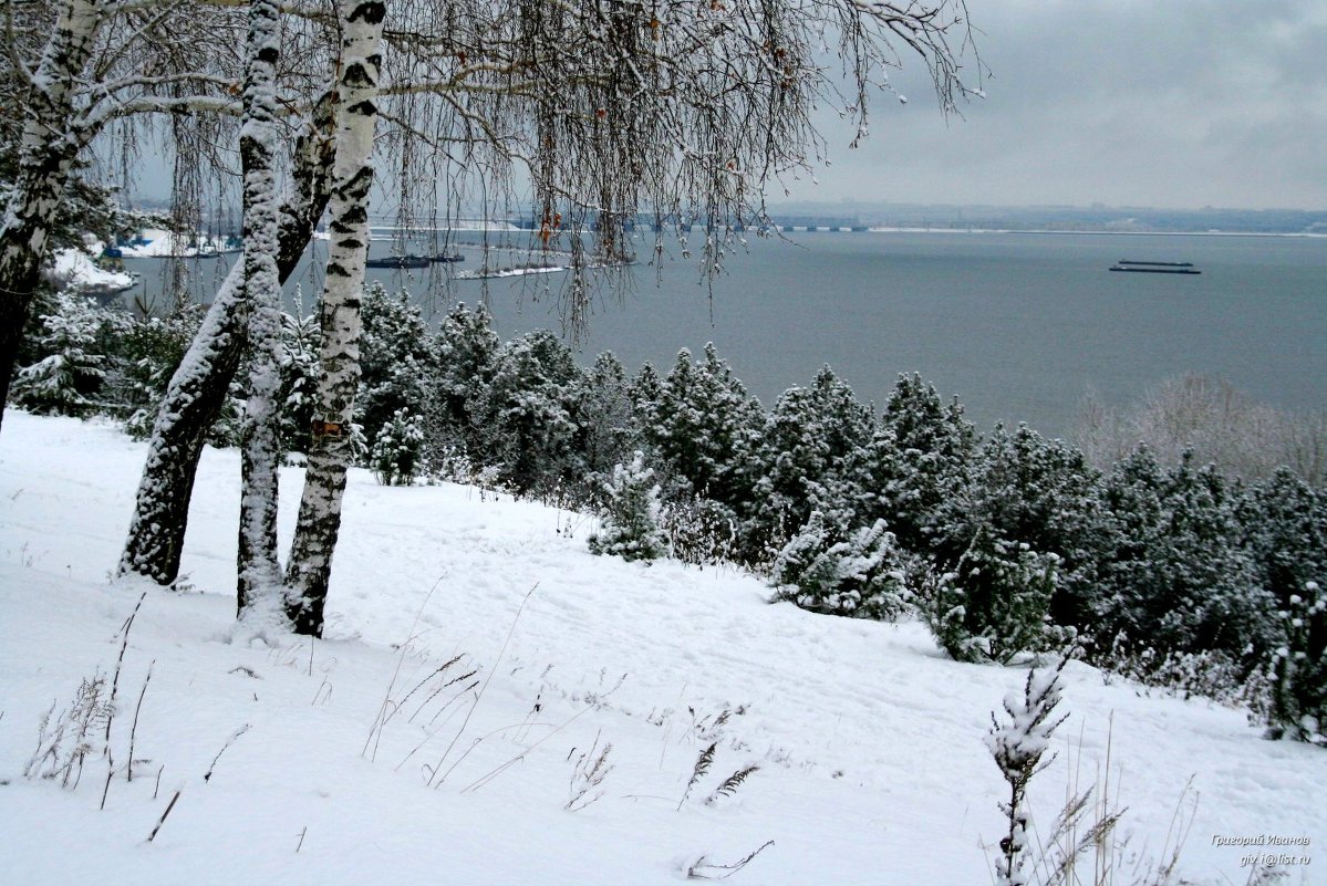 Первый снег в Винновской роще. - Григорий Иванов