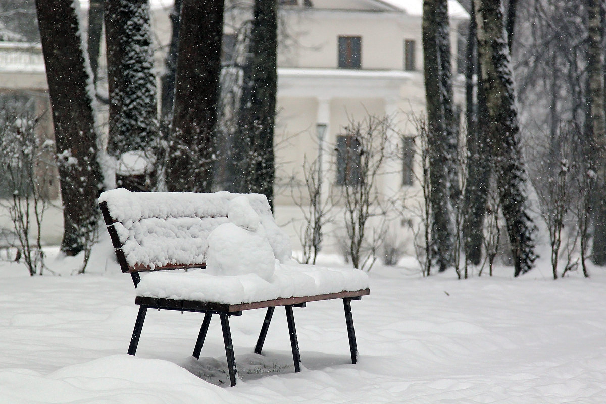 Скамейка в снегу - Юлия Левикова