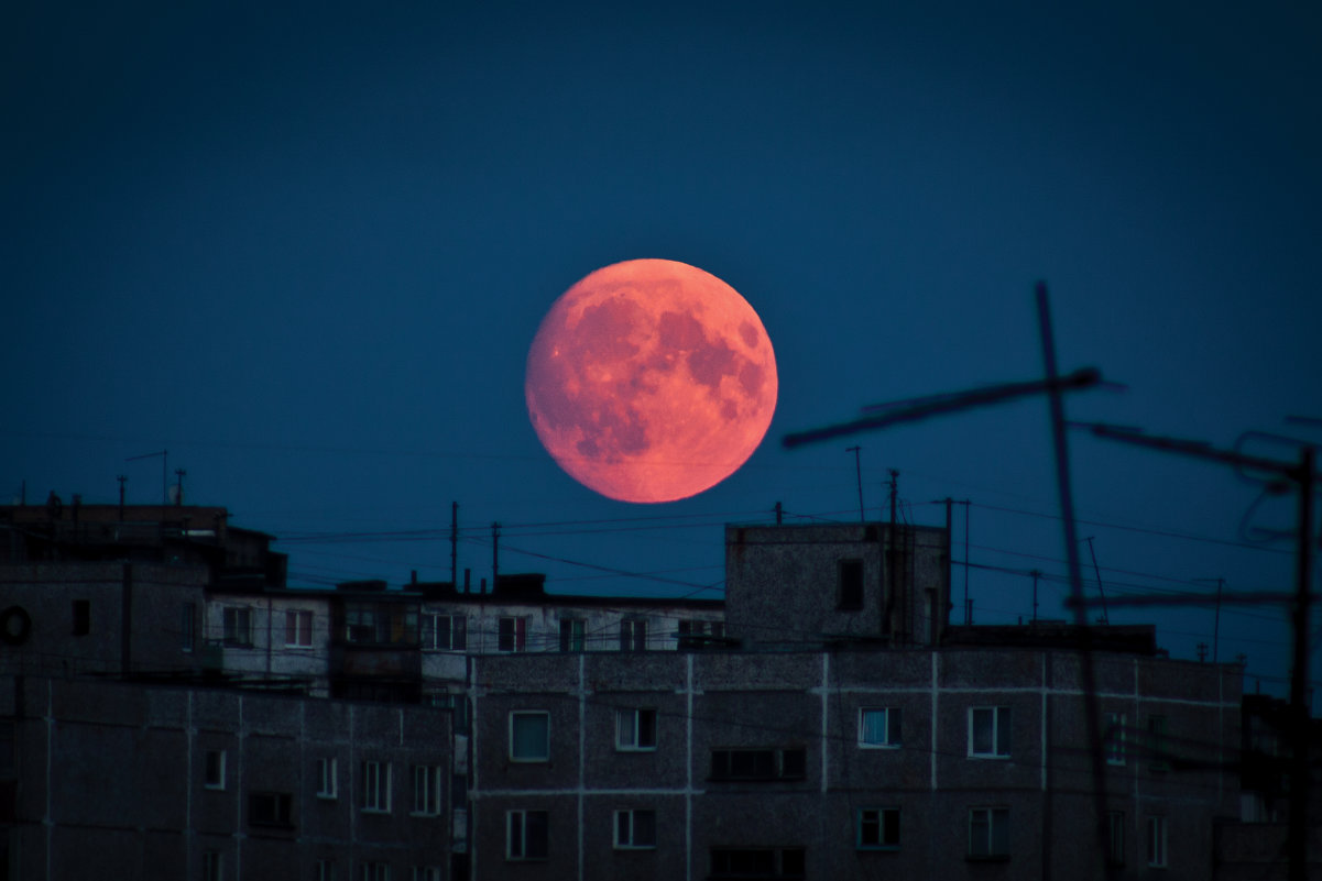 Кровавая луна - Dmitriy Abrosimov