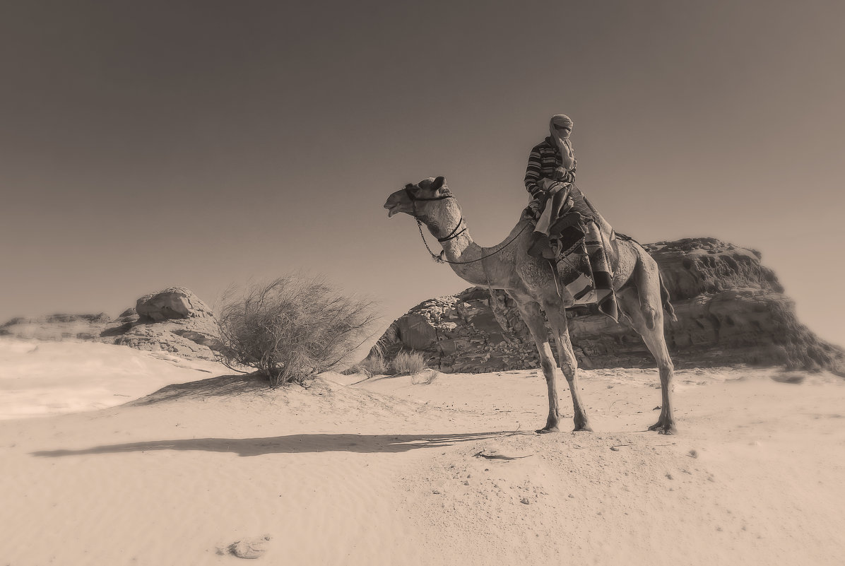 бедуин - сергей агаев