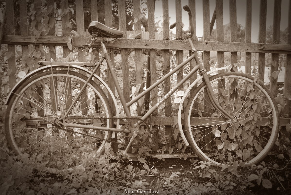 Старый велосипед - Анна Гаврилова