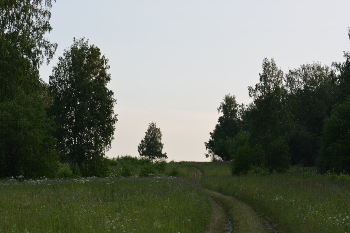 Лето - Алекс 