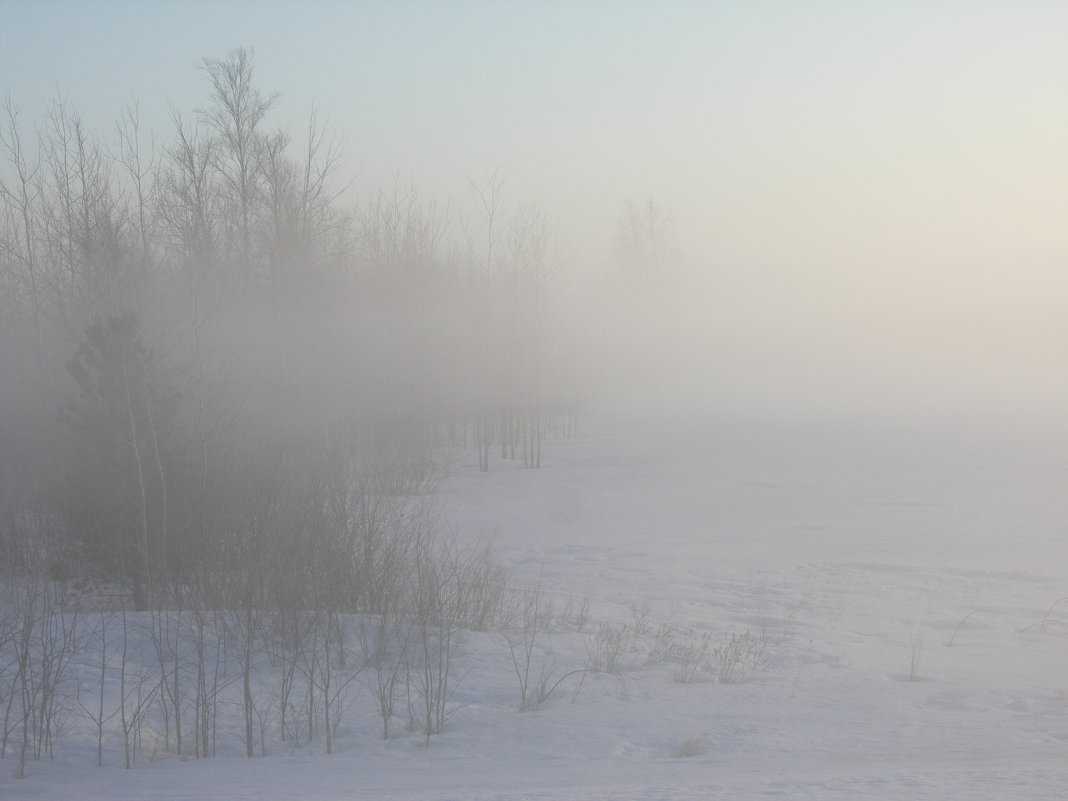 Туман - Moose54 Лосев