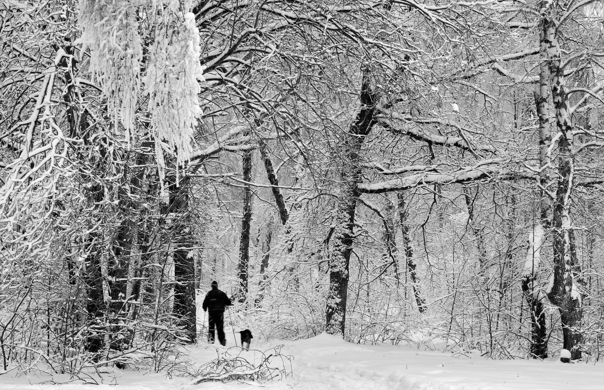 Зимняя прогулка - Олег Неугодников