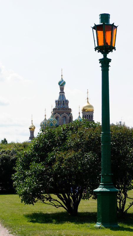 СПБ - ВАСИЛИСА АЛЕКСЕЕВНА