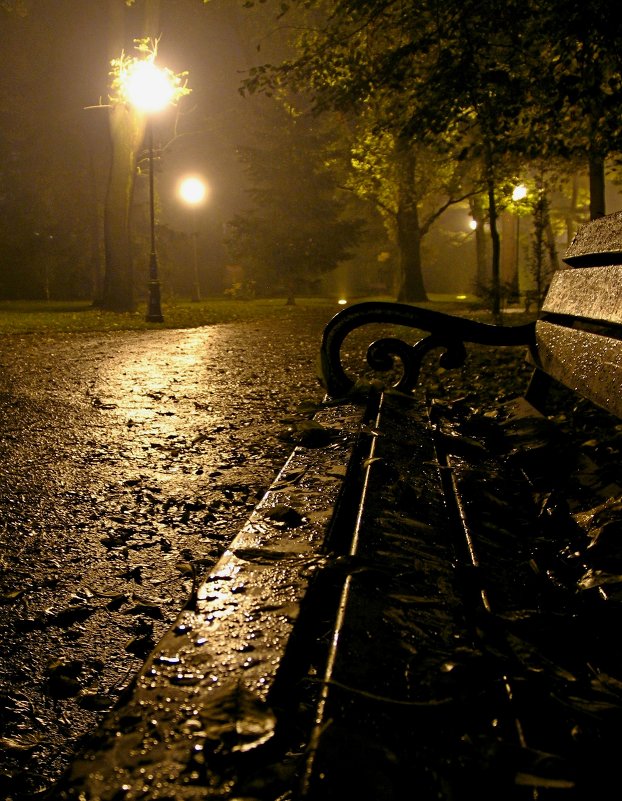 Ночь в парке - Дмитрий Мац