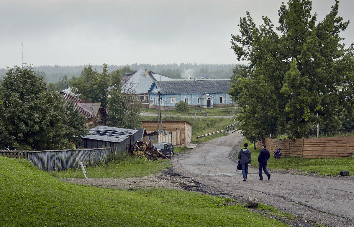 дорога домой - ник. петрович земцов