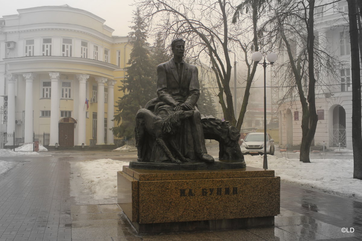 Памятник И.Бунину в Воронеже - Лариса Дорошенко