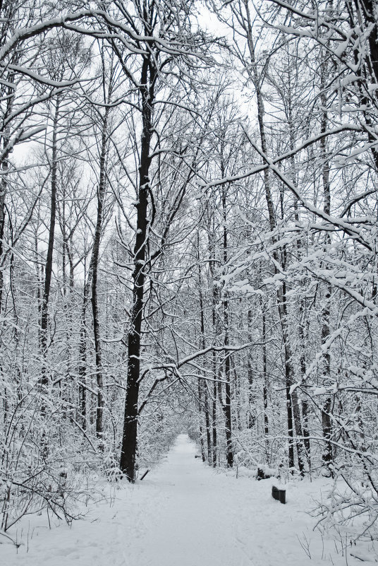 Winter in Moscow - Keti B