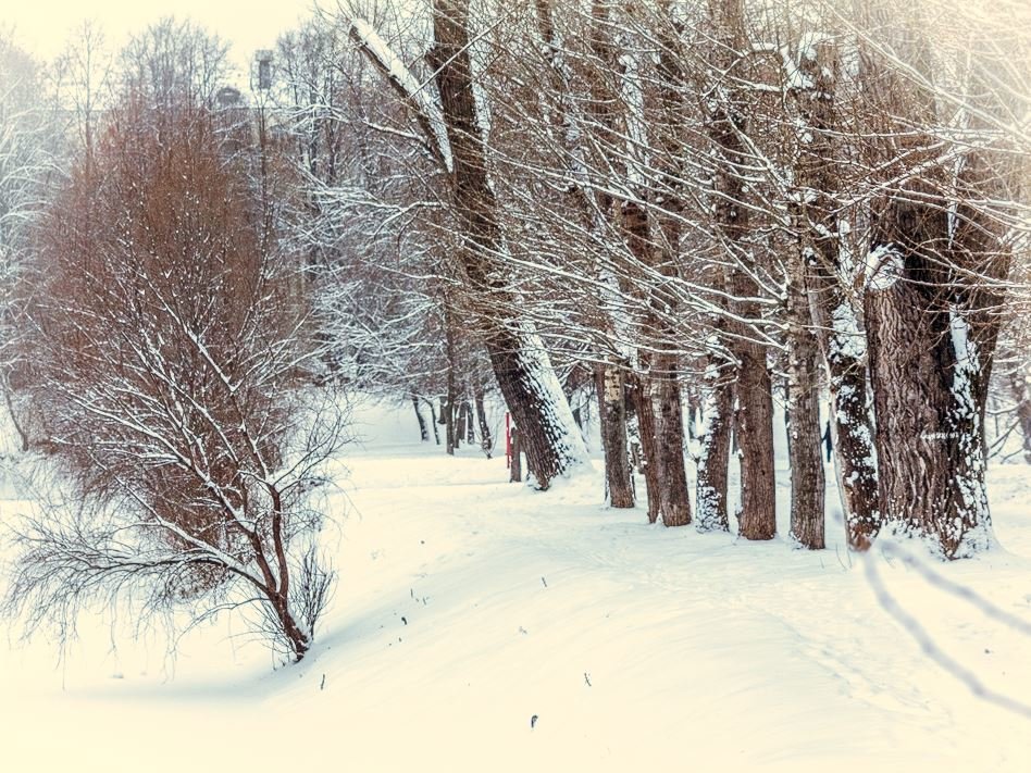 Зима в московском парке - Евгений Ш