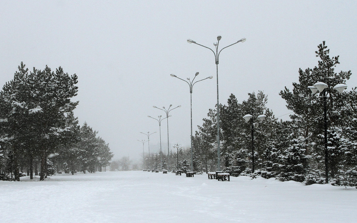 Зимним утром в парке (9) - Марат Рысбеков