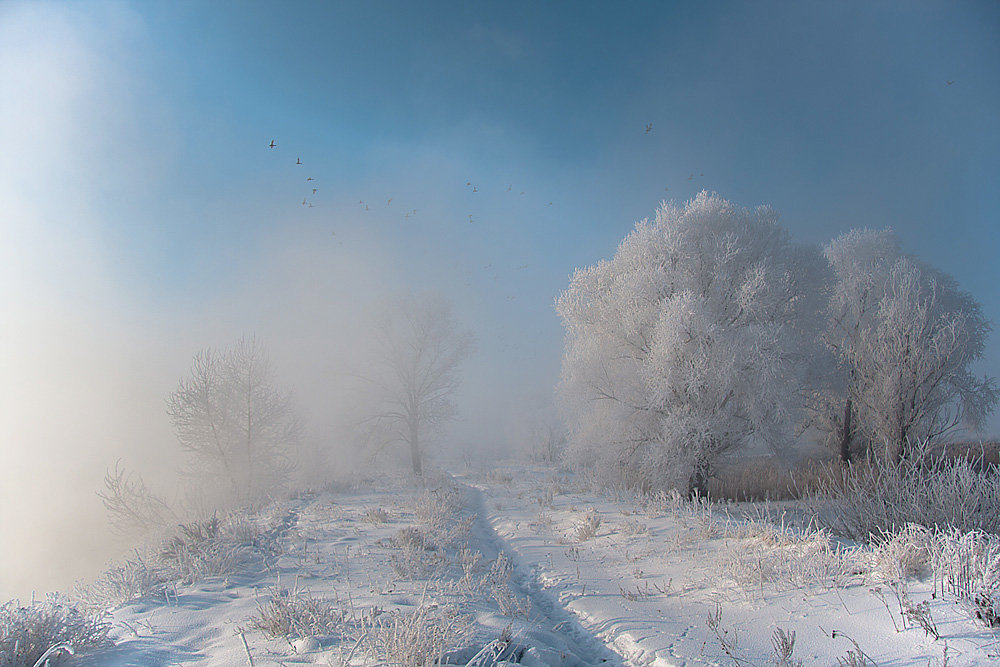 Полёты в морозном воздухе - Олег Самотохин