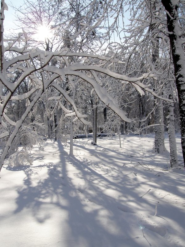 Зима в Одессе - Elena 