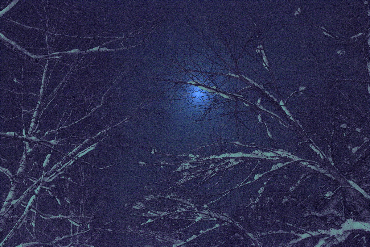 Зимняя ночь - Ирина Богатырёва
