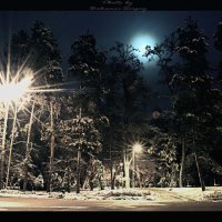 зимняя ночь в парке :: Sergey Bakanov
