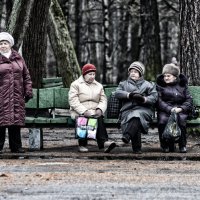 пенсионеры :: равил митюков