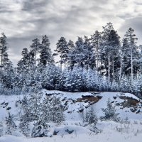 Зимний пейзаж :: Анатолий Катков