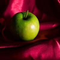 Silky apple :: Nina Uvarova