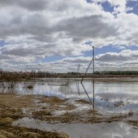 разлив на реке Шерна :: Татьяна Чернова