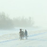 В снежном тумане... :: Бауыржан Асылбаев