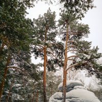 Валуны :: Сергей Журов