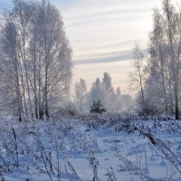 Зимний пейзаж. :: Андрей В.