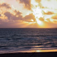 Florida. December. Windy dawn 2 :: Irini Pasi