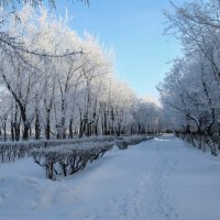 Тихо, морозно... :: Марат Рысбеков