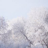 Зима :: Евгений Спиридонов
