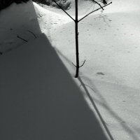 Падал прошлогодний снег 02 :: sv.kaschuk 