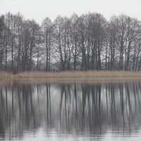 озеро :: Dmitry Kovshick