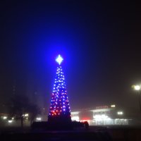 новогодняя елка в тумане :: Dmitry Kovshick