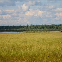 Озеро, созданное природой. г. Североуральск. :: Зимнухов Дмитрий 