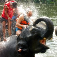 Купание серого слона. :: VLAD 