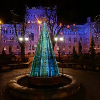 Рождественские елки :: Viktor Makarov