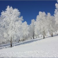 Матушка-зима!! :: Наталья Юрова