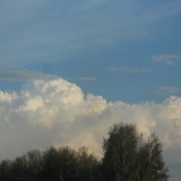 Пушистое облако :: Александра 