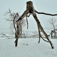 В Мышкине. :: Полторыхин Юрий Полторыхин.