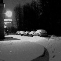 Мечта о снеге :: Anatoli 