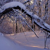 Зимняя сказка :: Евгений Юрков