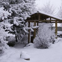 Снег, беседка, зима... :: Василий Игумнов