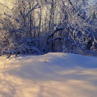 Поэзия зимы :: Евгений Юрков