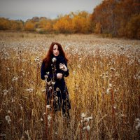 Рыжая Осень :: Эльмира Смирнова